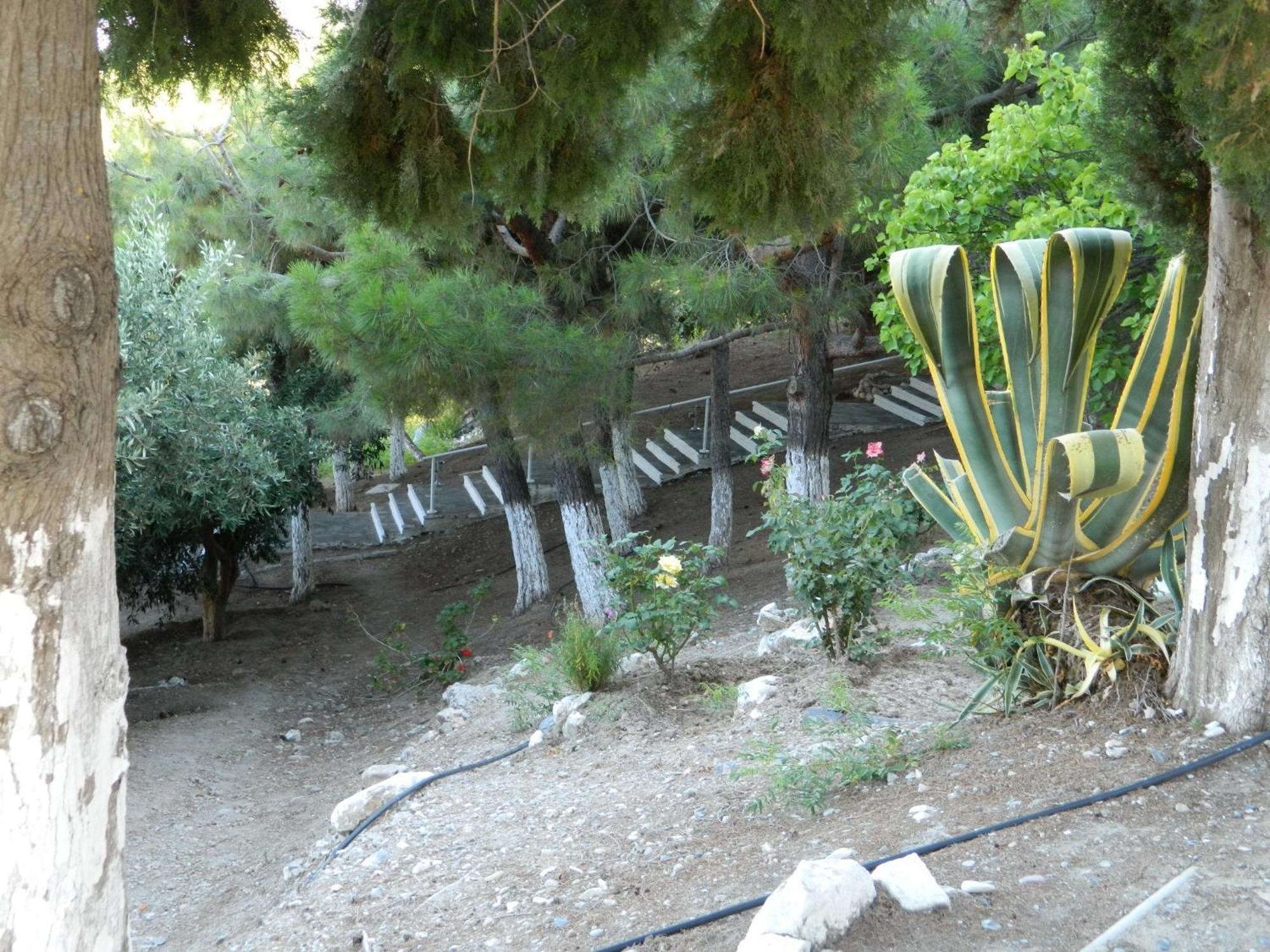 Hotel Glicorisa Beach Pythagório Rom bilde